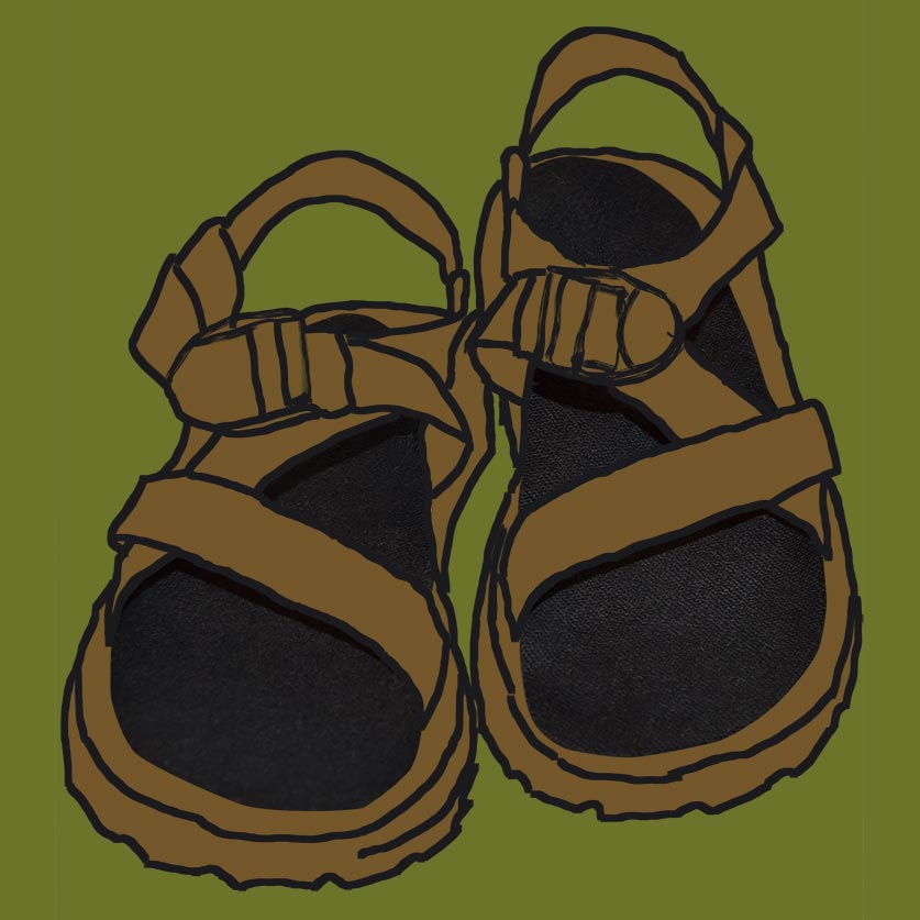 SoxsolS Pair of brown sandals on a green background